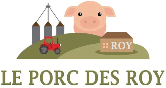 Effiloché de porc cajun et purée de pommes de terre